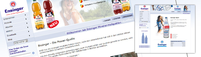 Ensinger
